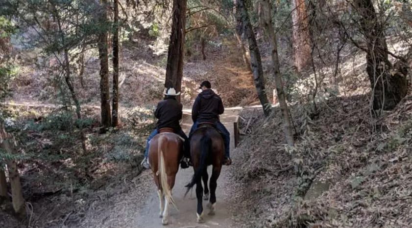 1-Hour Horseback Ride Tour at Golden Gate Park in San Francisco - Primary Image