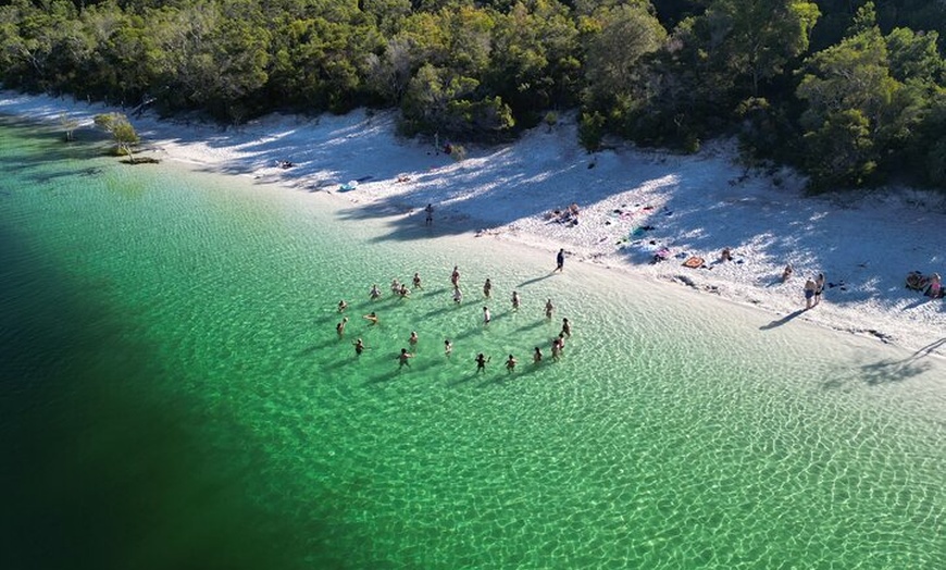 Image 2: Dingos 2 Day K'Gari (Fraser Island) 4WD Tag-Along Tour