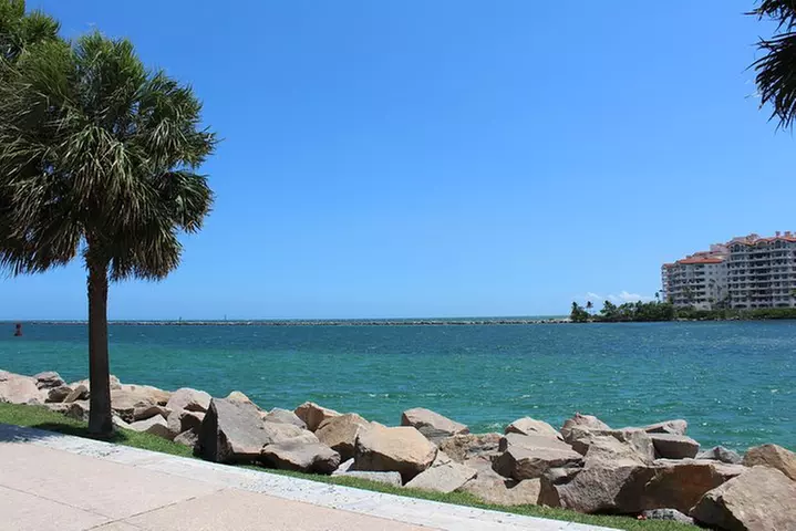 Everglades & Miami city tour with experienced guide in small group