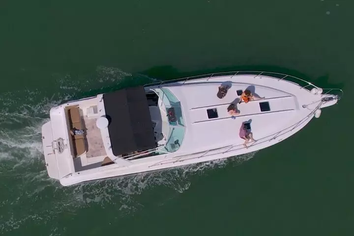 Private Yacht 46ft Sea Ray Snorkel up to 15 pax 23P2 - Primary Image