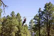 Ledgewood Adventure Course - Second Medium