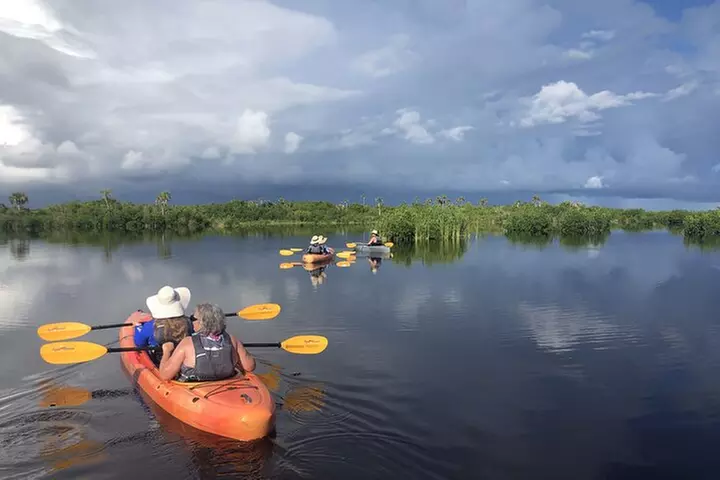 Manatees and Mangrove Tunnels Small Group Kayak Tour
