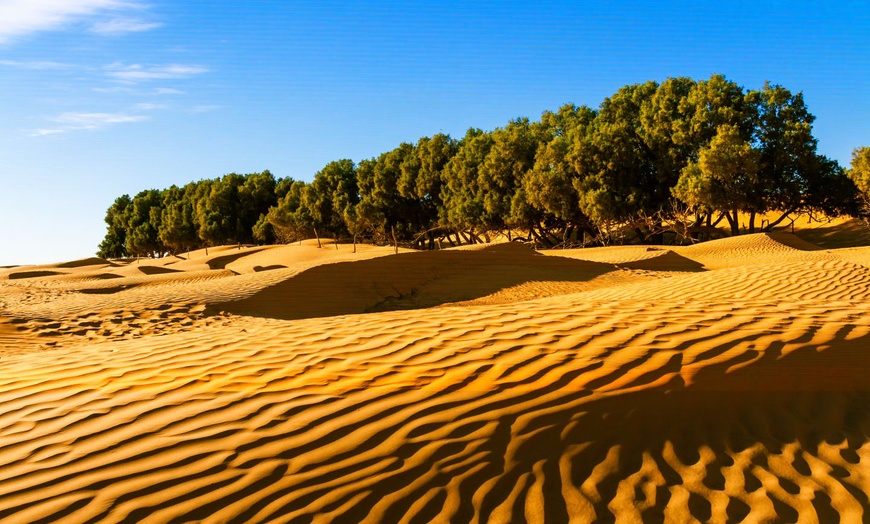 Image 10: ✈ TUNISIE | De Djerba à Tozeur - Echappée désertique 4* - Circuit