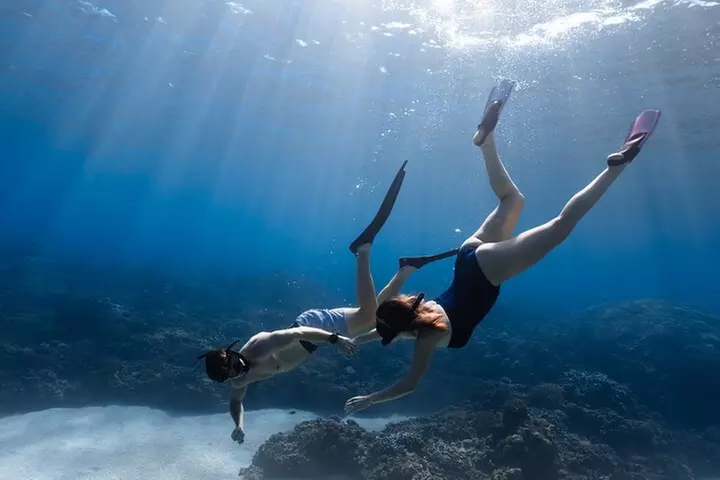 Private Kealakekua Bay Snorkel with Dolphin Watch