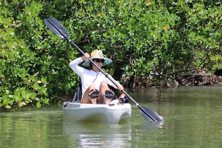 Kayak Tour Adventure Marco Island and Naples Florida