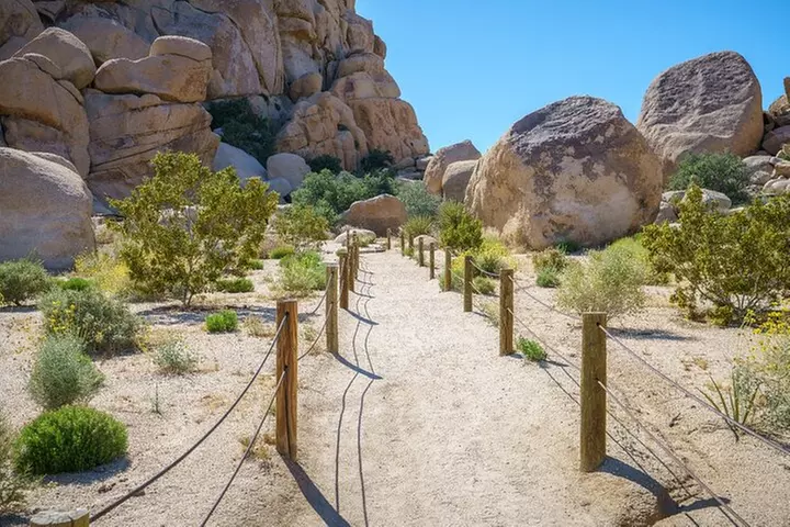 Joshua Tree National Park Self-Guided Driving Audio Tour