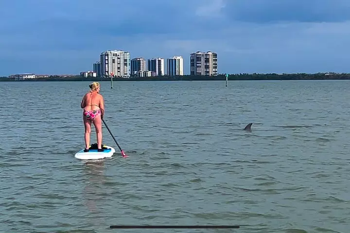 Self Guided Standup Paddle Board EcoTour -Bonita Springs