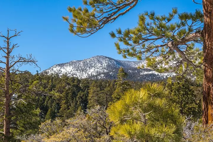 From San Diego: Two-Day Camping and Hiking Adventure in Idyllwild - Primary Image