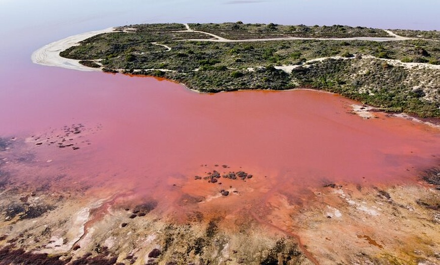 Image 4: Pink Lake Small-Group Buggy Tour