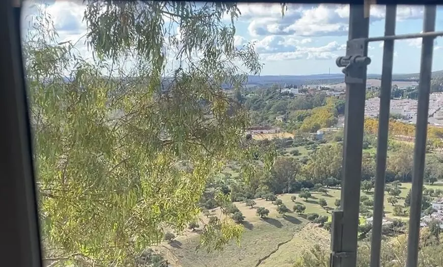 Image 10: Day trip privado a Arcos, Medina Sidonia y Vejer de la Frontera