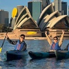 Image 10: Sunrise Serenity Kayak Tour of Sydney Harbour