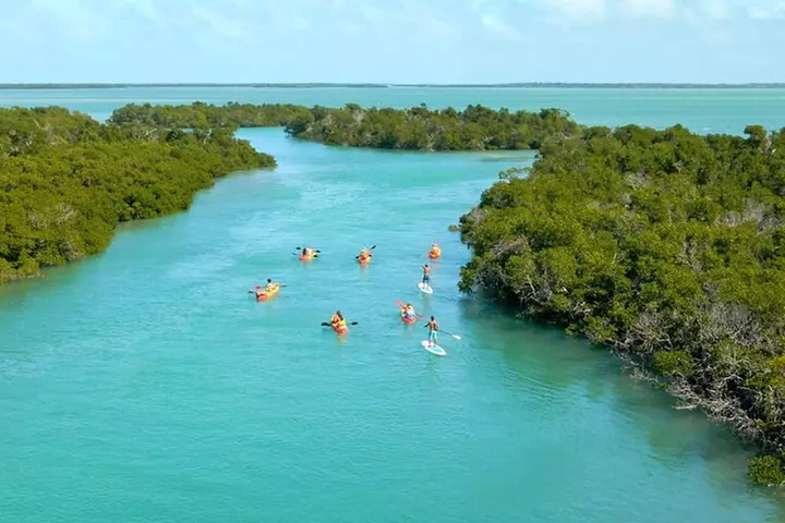 Key West Sandbar Charter With Kayak Tour: Includes Lunch & Drinks