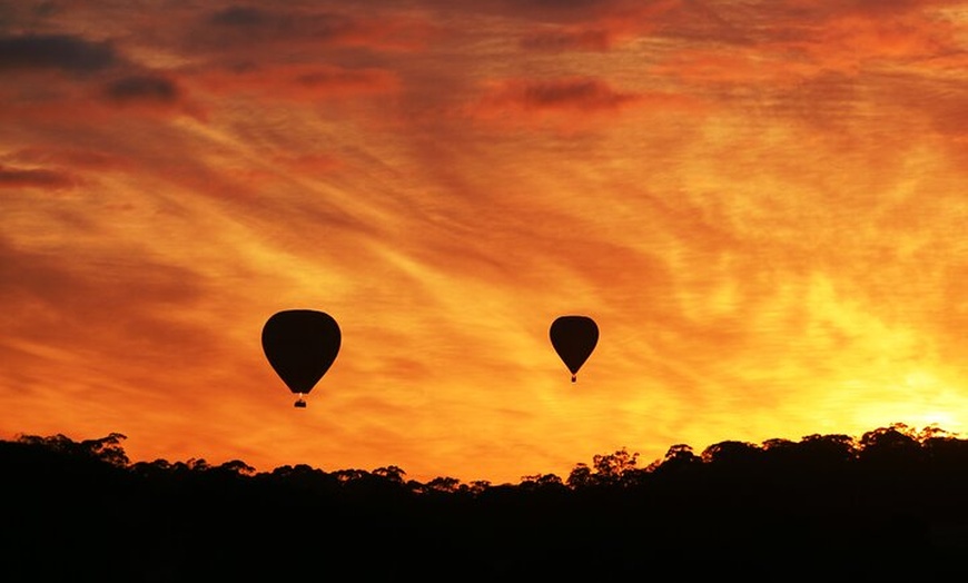 Image 5: Barossa Valley Hot Air Balloon Ride with Breakfast