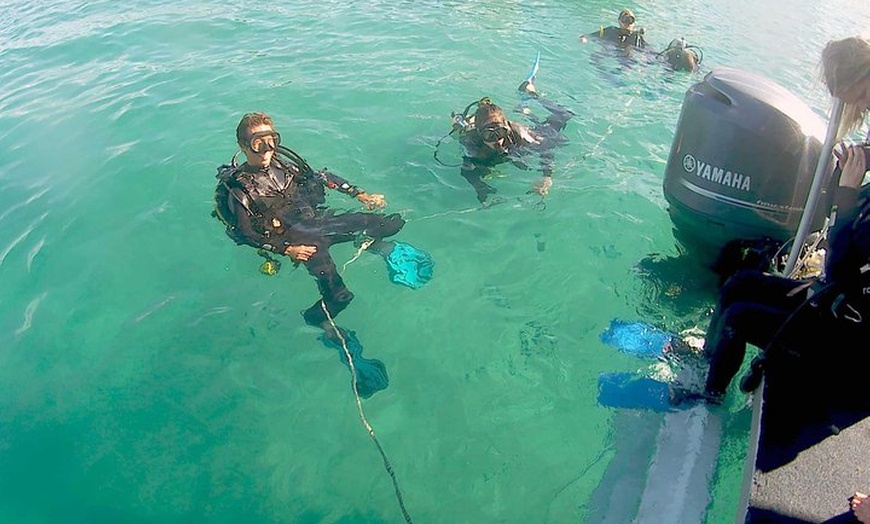 Image 20: Wave Break Island Snorkel Tour on the Gold Coast