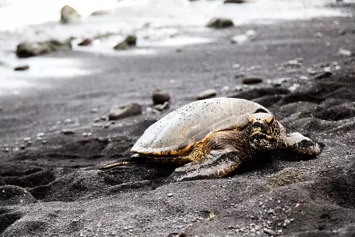 Deluxe Volcano Experience with Restaurant Dinner