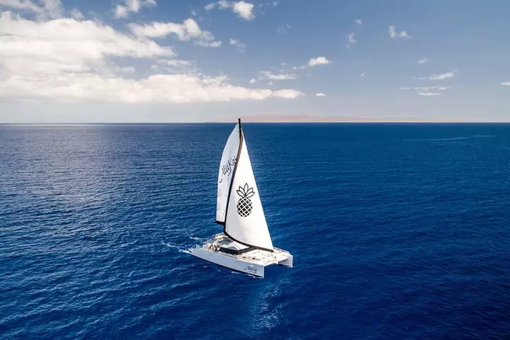 Luxury Catamaran Royal Sunset Dinner Sail (Adults-Only) - Primary Image
