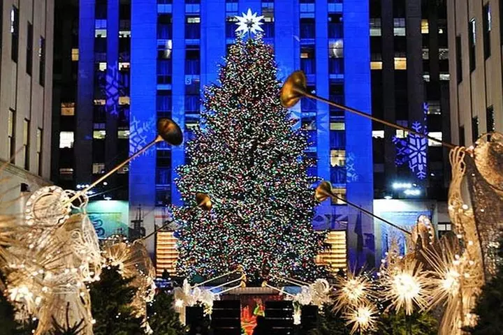 New York Christmas Holiday Small-Group Walking Tour - Primary Image