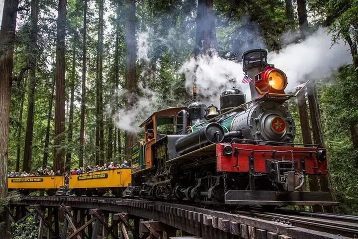Redwood Forest, Santa Cruz Harbor 1-Day Trip from San Francisco