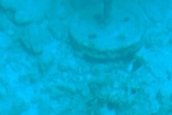 Key Largo Coral Reef Glass Bottom Boat Adventure