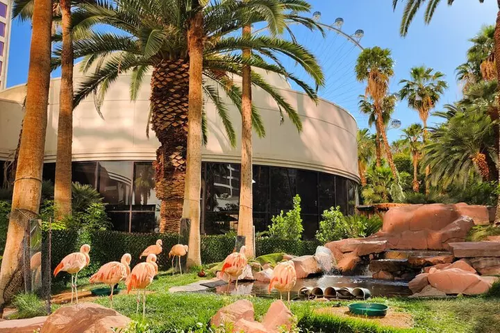 Must-See Spots Vegas Strip Walking Tour