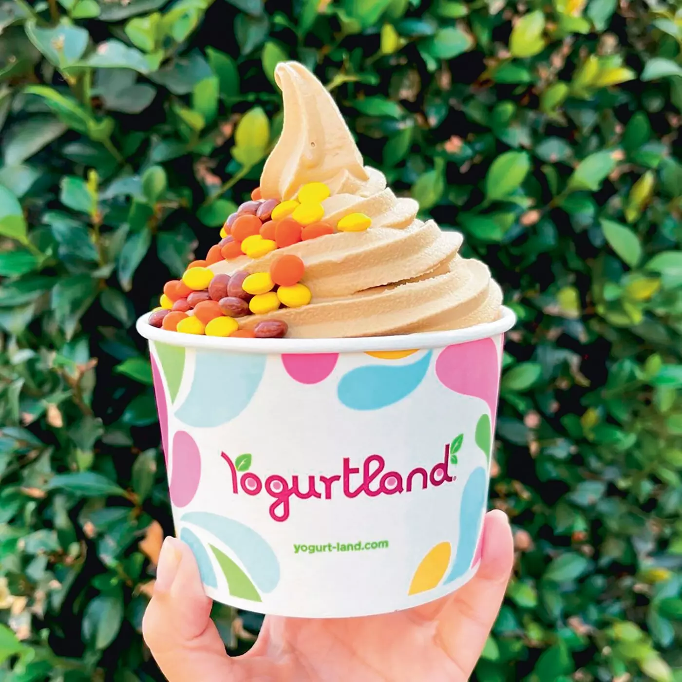 $10 For $20 Worth Of Frozen Yogurt & More