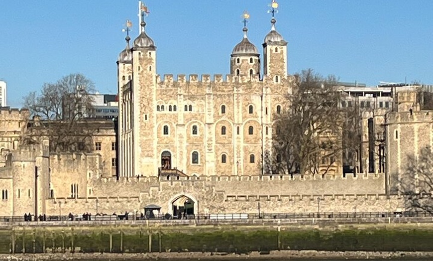 Image 10: Private 3 Hour Black Taxi Tour of London