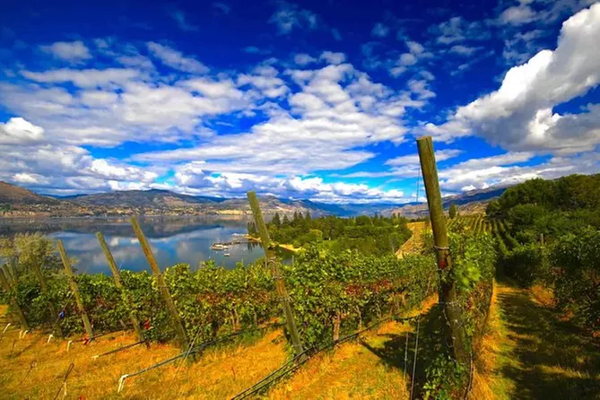 Naramata Wine Tour with Gourmet Lunch - Primary Image