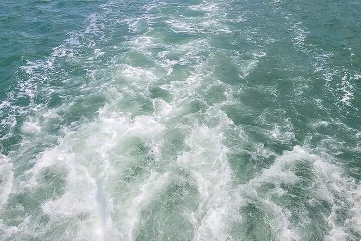 3-Day Florida: Miami Bus & Boat, Everglades & Key West Snorkeling