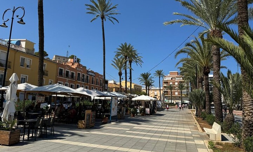 Image 5: Excursión de un día a Denia y los jardines mediterráneos