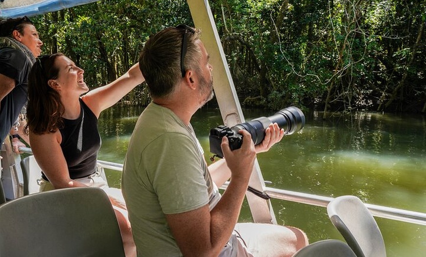 Image 26: Total Daintree Experience Tour from Port Douglas