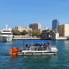 Image 1: Alquiler de Barcos Privados Cruceros a Pedales Valencia Ciclo Barcos