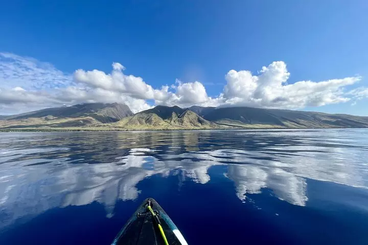 Kayak, Whale Watch, and Snorkel With Optional Photo and Video
