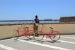 Tour en bici por Cádiz para grupos pequeños - Second Medium
