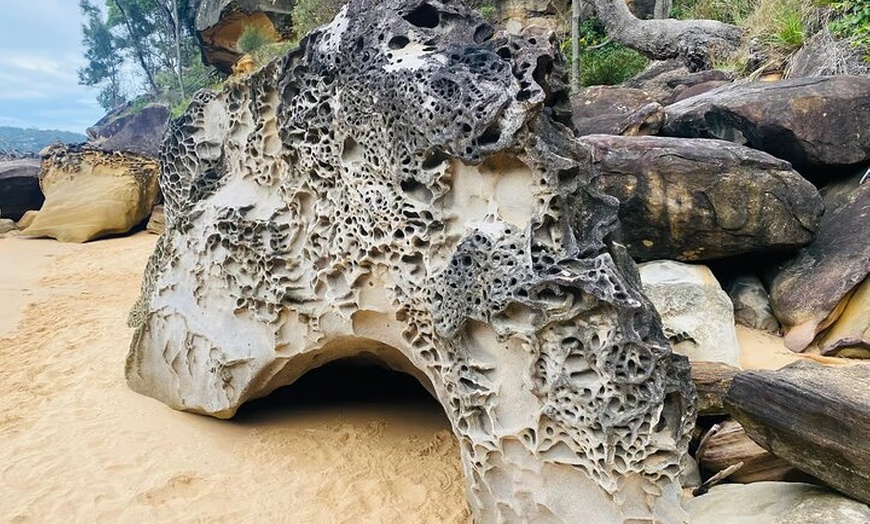 Image 17: Sydney: Ku-ring-gai Chase National Park with Hike, Swim, Picnic