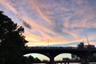 Congress Avenue Bat Bridge Kayak Tour in Austin - Second Medium