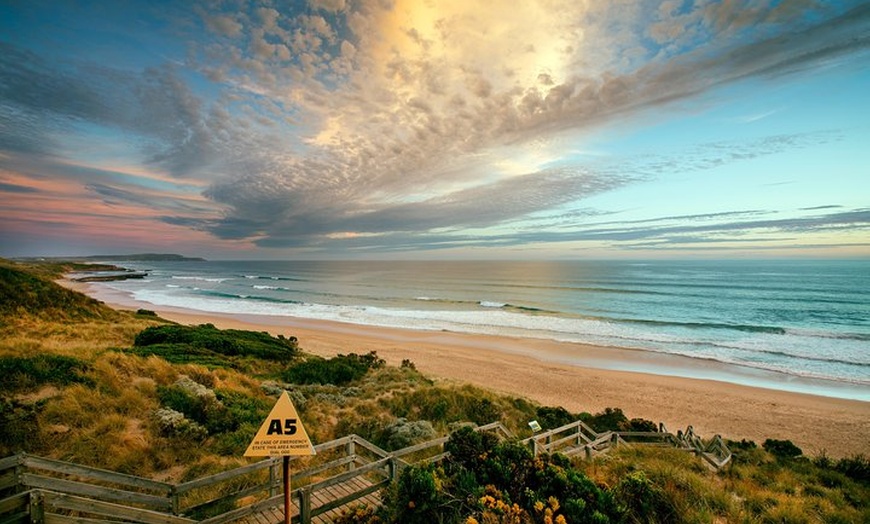 Image 3: Phillip Island Penguin Parade Day Trip with Koala Conservation Rese...