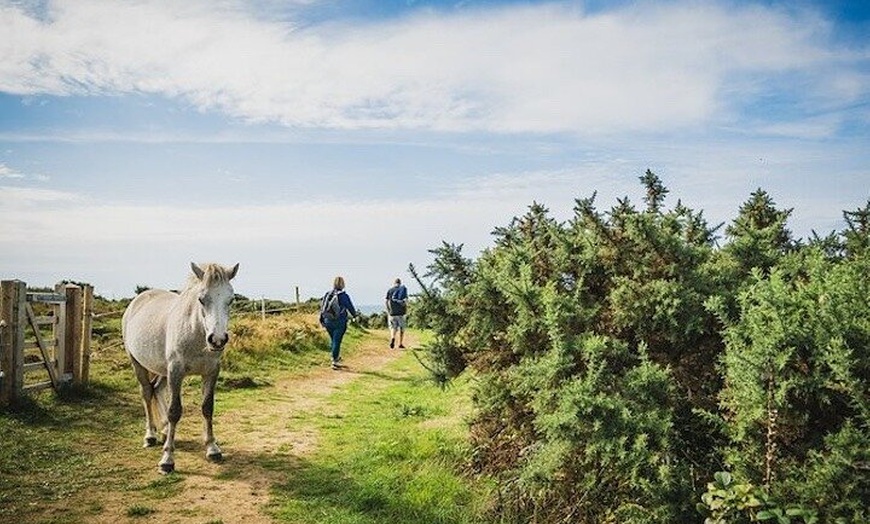 Image 7: Private Tour: The Gower - Mumbles, Three Cliffs And Worms Head
