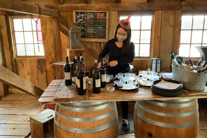 Private Loudoun County Wine Tour from DC with Stops at 3 Wineries