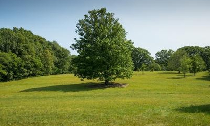 The Morton Arboretum - The Morton Arboretum | Groupon