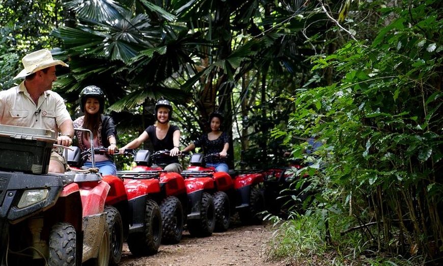 Image 4: 1 Hour Rainforest Quad Bike Tour in Kuranda