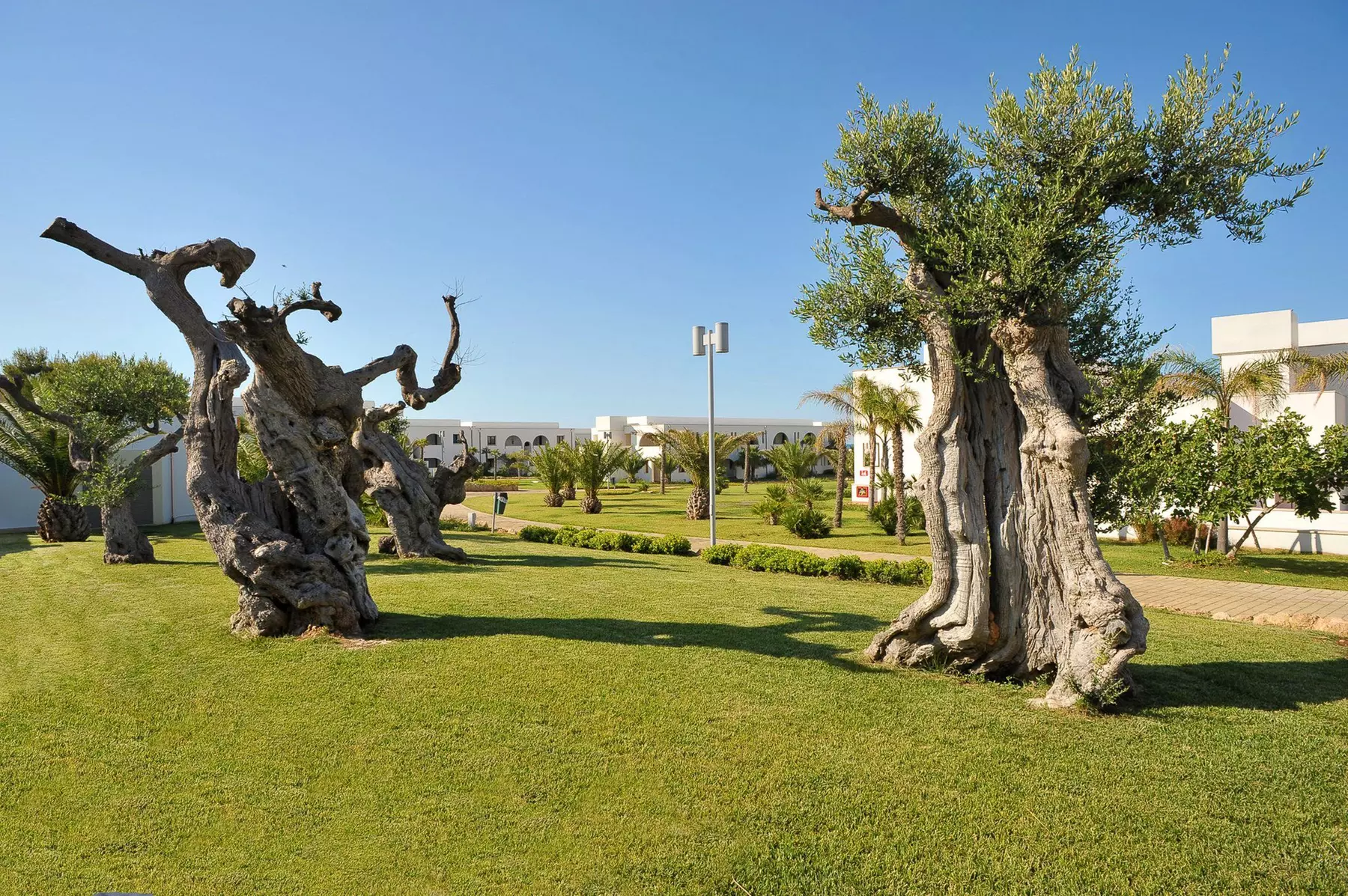 ✈ LES POUILLES | Polignano a Mare - Pietrablu Resort & Spa 4*, 3 nu...