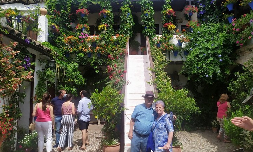 Image 5: Tour Guiado para Descubrir los Patios de Córdoba
