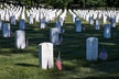 Washington DC Day Tour from New York City - Second Medium