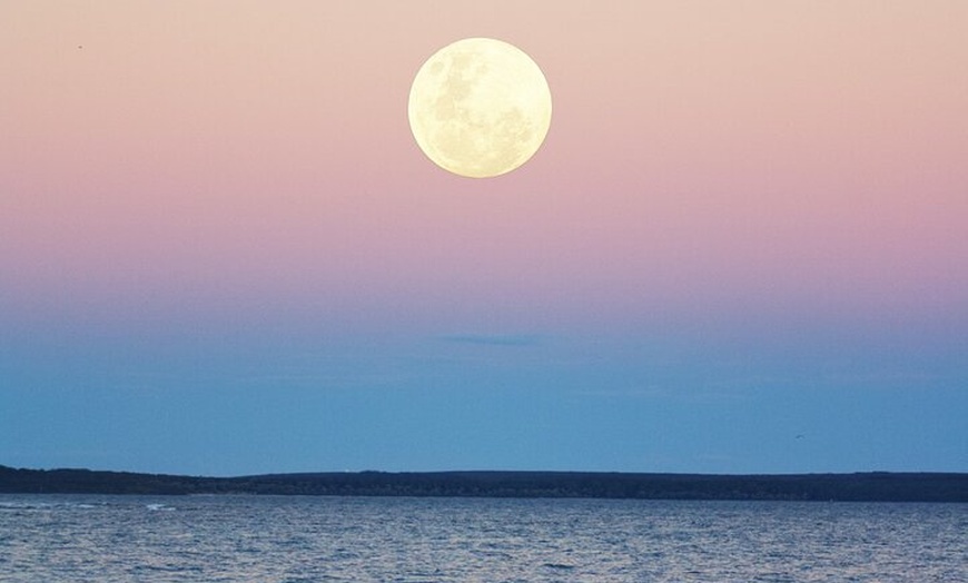 Image 5: Navegación Nocturna Bajo la Luna Llena en Sotogrande de 2.5 Horas