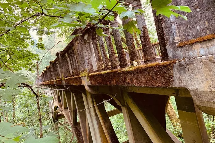 Multnomah Falls and Columbia River Gorge Waterfalls Tour Morning