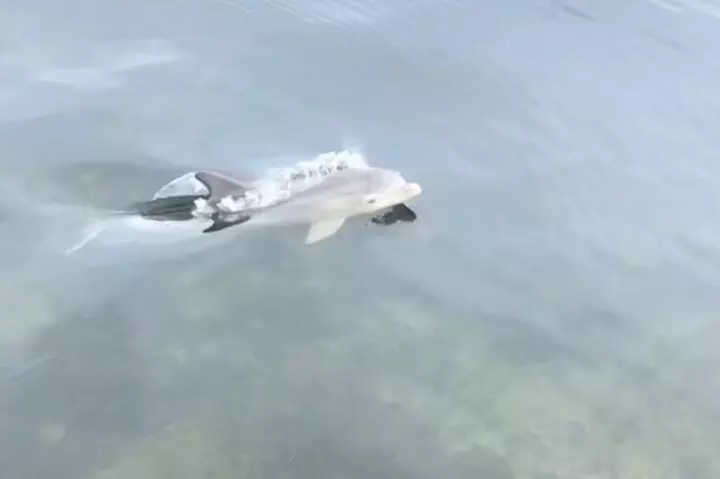 Miami Private Boat Rental to Sandbars and More