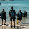 Image 2: Mallorca: Bautismo de buceo desde la playa