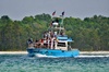 Frisky Mermaid Public Dolphin + Sightseeing Cruise Up to 49 Pax