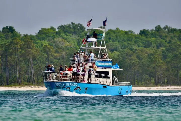 Frisky Mermaid Public Dolphin + Sightseeing Cruise Up to 49 Pax - Primary Image