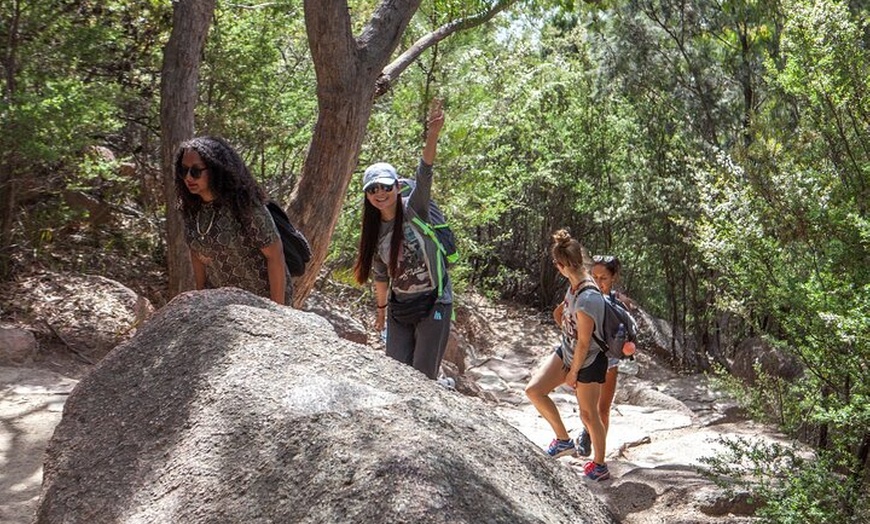 Image 19: Hobart: Wineglass Bay & Freycinet National Park - Active Day Tour